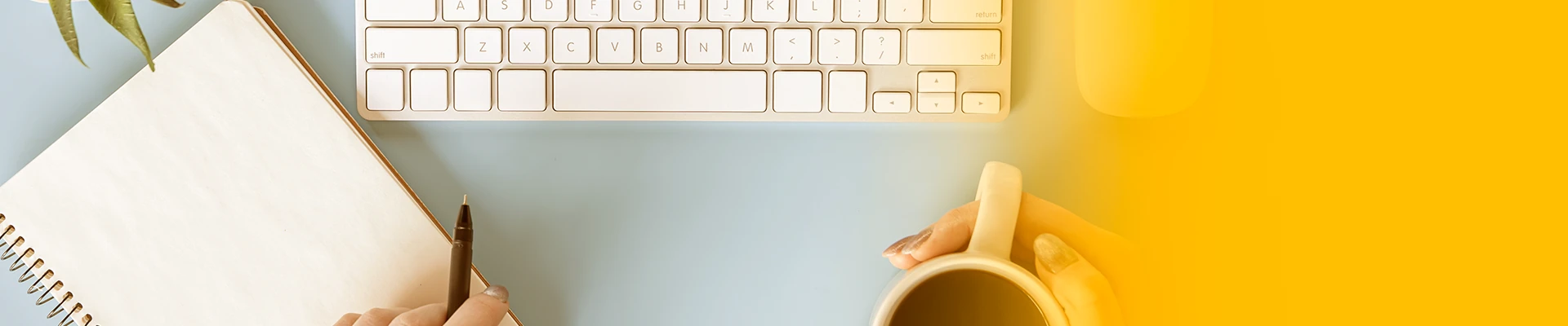 Backups para tu wordpress